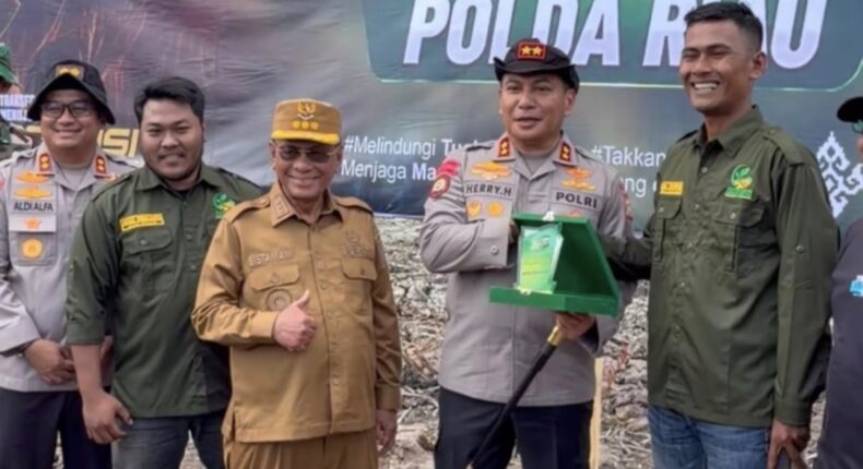 foto slider headline
